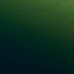 SL-362 — Оливковый хамелеон