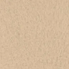 SL-404 — Beige
